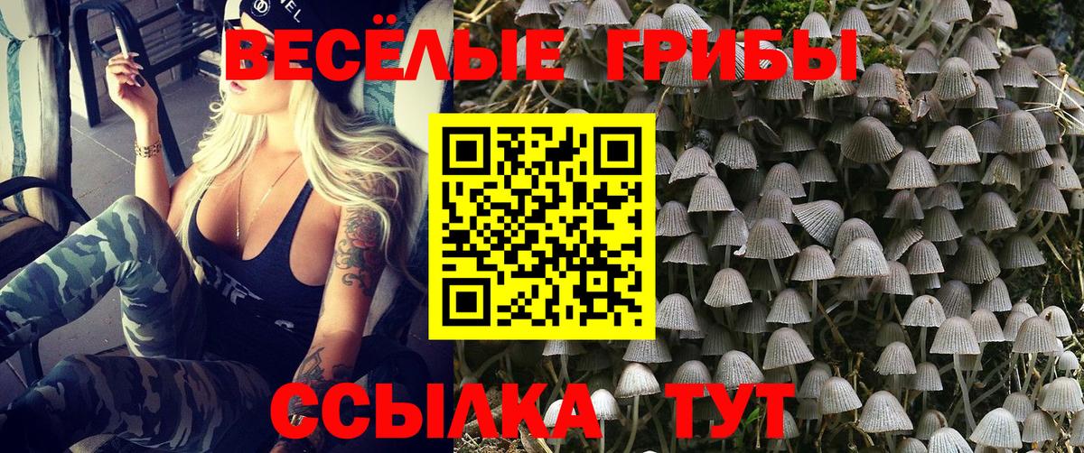 Псилоцибиновые грибы MAGIC MUSHROOMS Аша