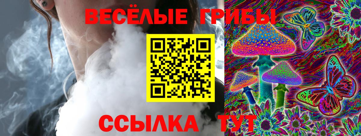 Галлюциногенные грибы MAGIC MUSHROOMS  Вход с VPN  Аша  Псилоцибиновые грибы прущие грибы 